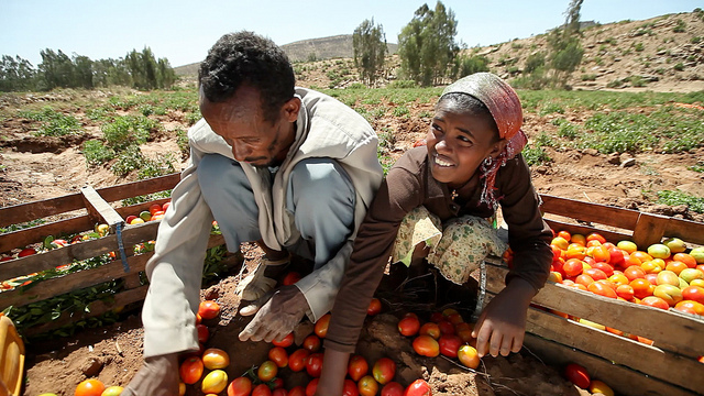 Using Satellite Technologies to Protect African Farmers from Climate Shocks